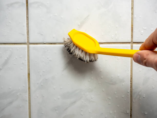 Best Home Mold Removal  in Pigeon, MI