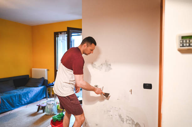 Home Mold Removal in Pigeon, MI